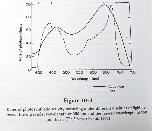 Activité photosynthétique des Mirogreens