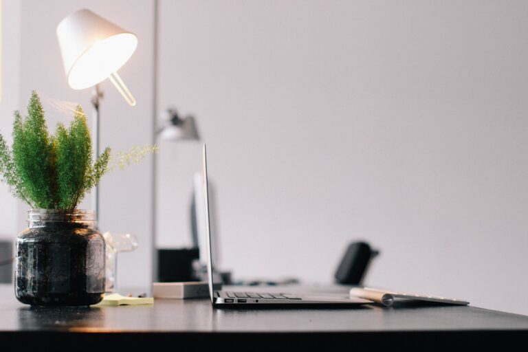 Les plantes peuvent-elles pousser dans un bureau sans fenêtres ?
