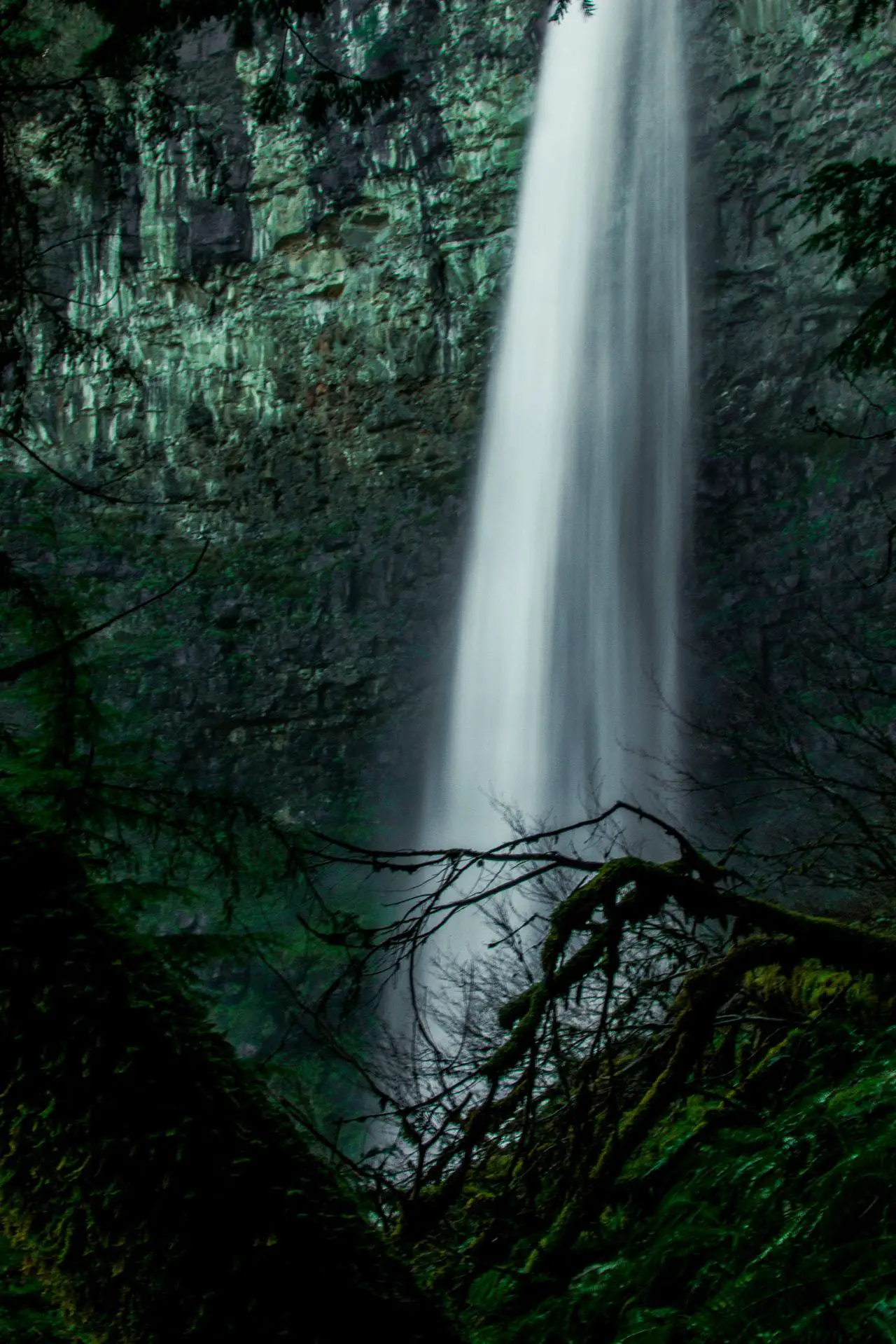 Cascade dans une forêt