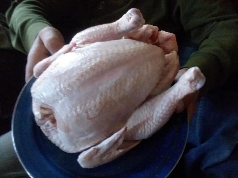 poulet de chair de Cornouailles habillé, prêt à cuire