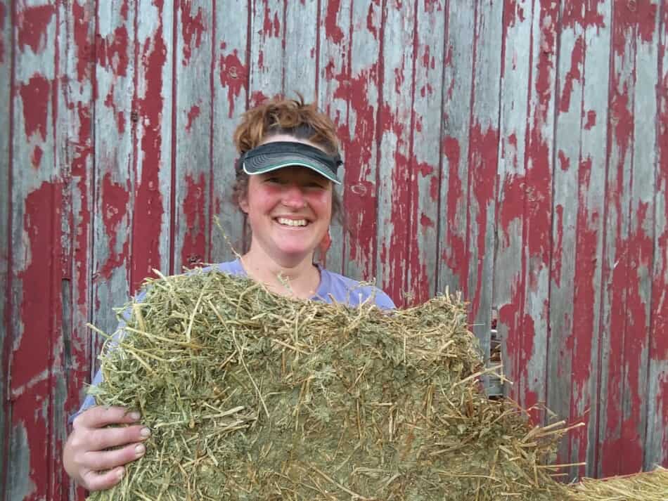 l'auteur, Kathy McCune, tenant un flocon partiel de foin de luzerne de l'Ouest