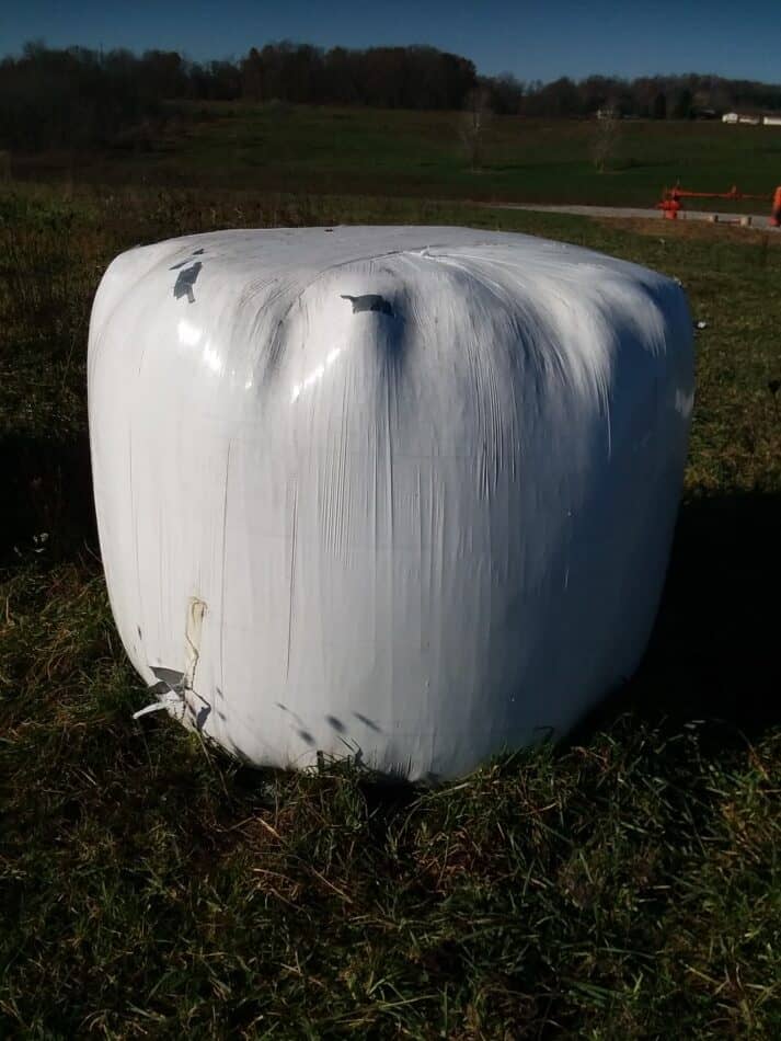 balle d'ensilage emballée dans du plastique