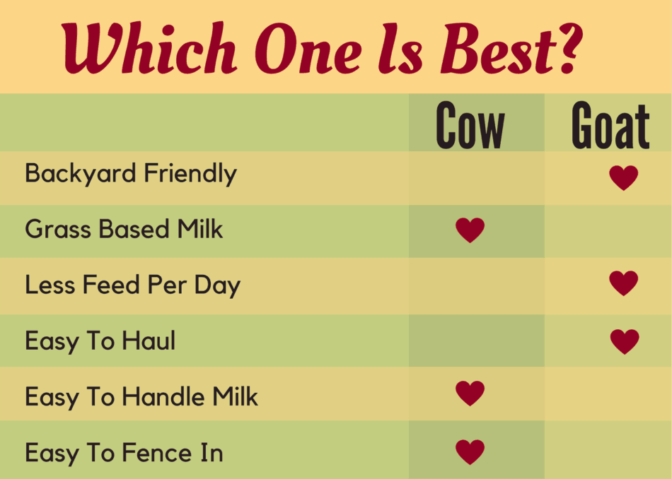 tableau montrant les raisons d'acquérir une vache laitière ou une chèvre laitière