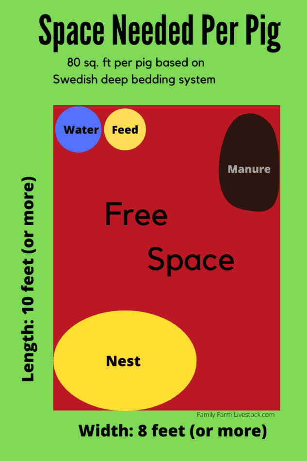 graphique montrant un exemple d'agencement d'enclos pour élever quelques porcs vous-même, remarquez la zone du nid où ils dorment et l'espace libre au milieu