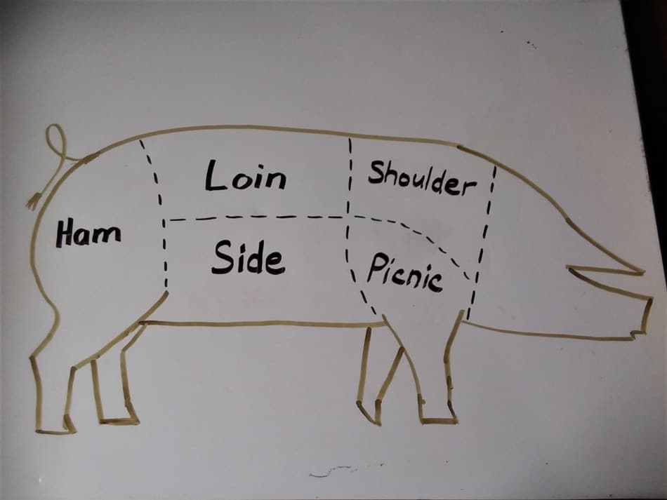 un dessin montrant les coupes de base de la viande de porc, chaque zone est coupée en morceaux de plus petite taille selon votre commande