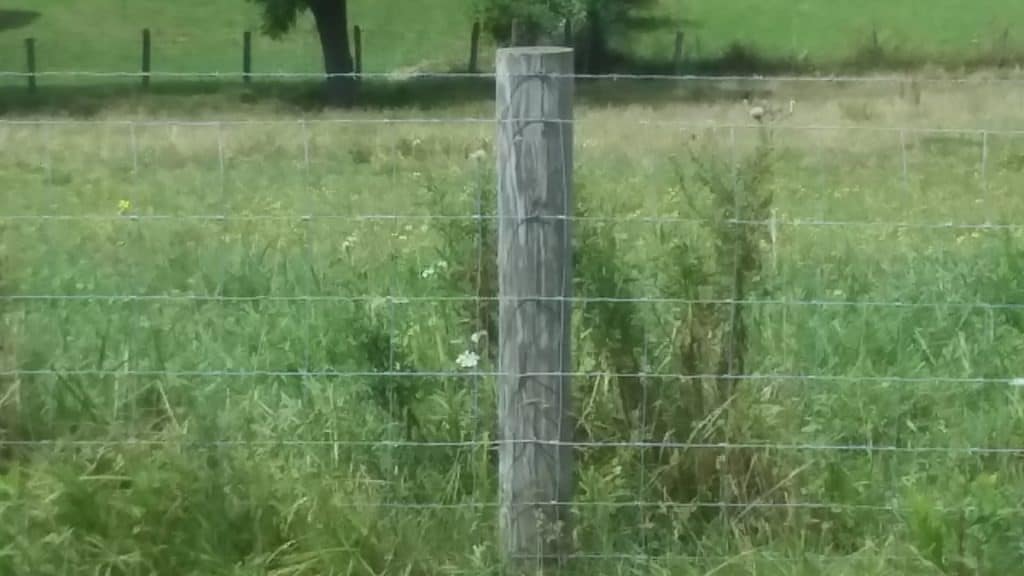 Clôture en fil de fer tressé avec poteaux en bois. Notez le fil barbelé comme brin supérieur.