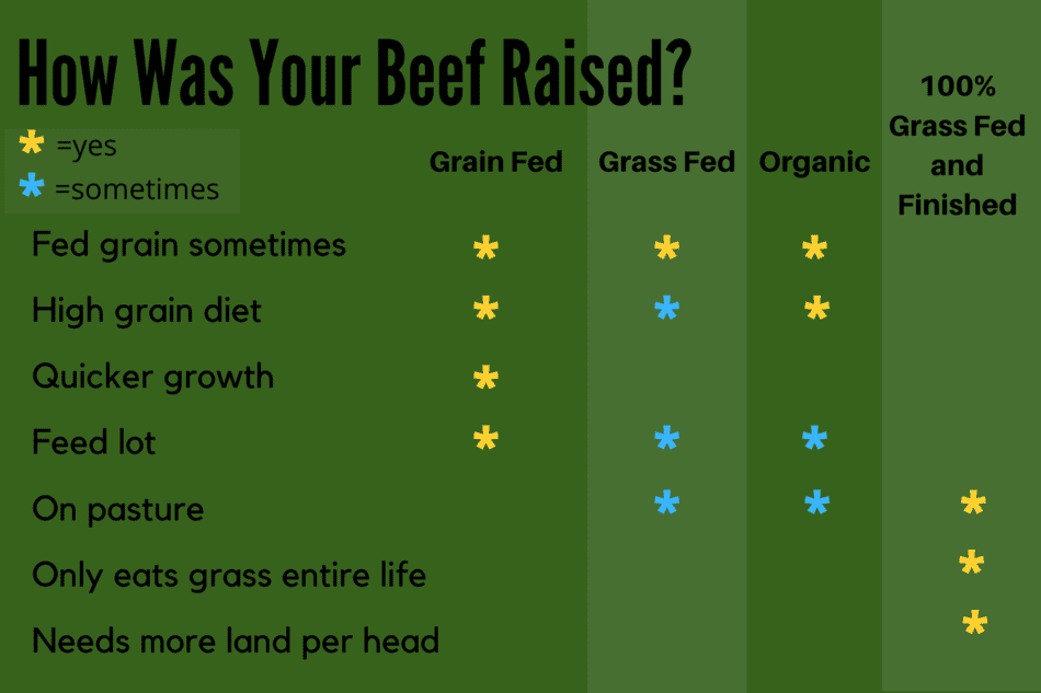 Infographie montrant les différences entre le bœuf nourri aux céréales, nourri à l'herbe, biologique et le bœuf 100 % nourri à l'herbe et fini.