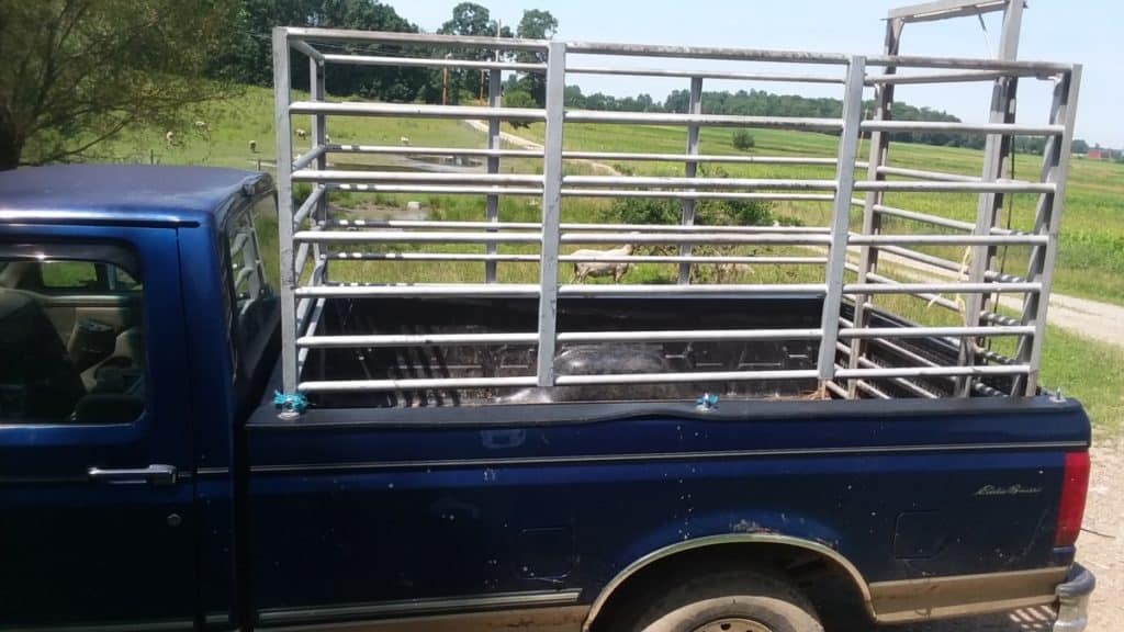 Des supports sur notre camion, utilisés pour transporter des moutons et d'autres petits animaux. Les bovins auront besoin d'une remorque !