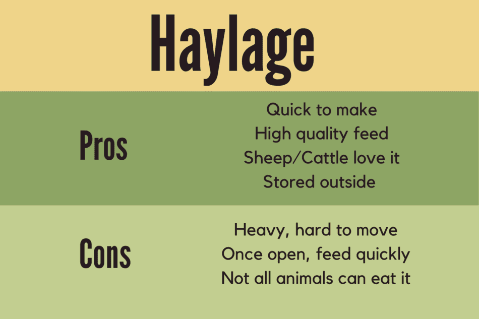 infographie montrant les avantages et les inconvénients de l'ensilage pour le bétail