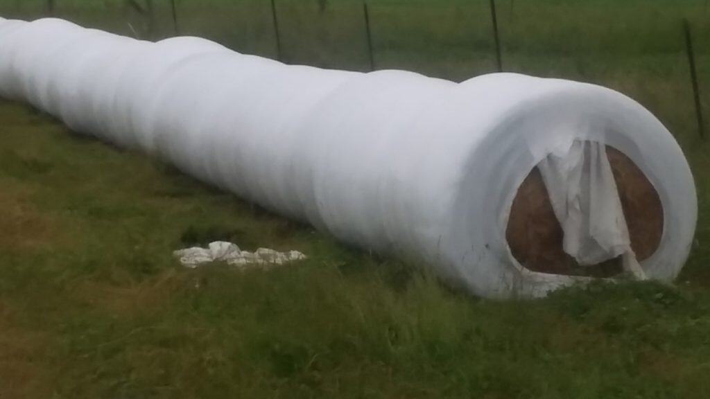 Tube d'ensilage posé sur le bord d'un de nos champs.
