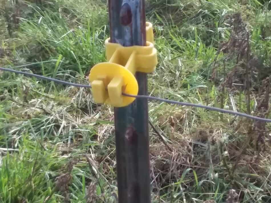 fil métallique électrifié sur poteau en T avec isolant jaune