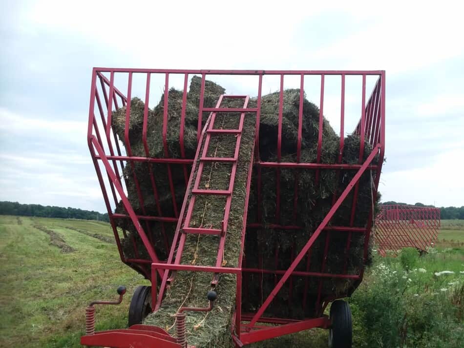 2ème coupe de foin en paniers, mis en balles fin juillet