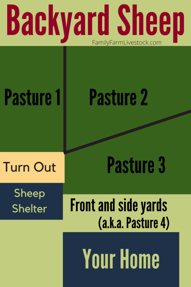 Voici un exemple de la façon dont les moutons peuvent brouter l'herbe de votre jardin ! Votre jardin peut être divisé de la manière qui vous convient, à vous et à vos moutons, ce qui vous permet d'économiser de l'argent sur les frais d'alimentation et de foin tout en tondant et en fertilisant votre pelouse en même temps !