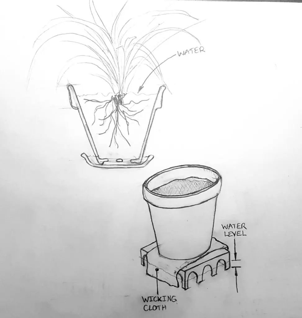 Plante en pot et pot sub-irrigué.