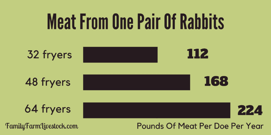 graphique montrant les livres de viande de lapin produites par biche par an en fonction du nombre de portées qu'elle a dans une année