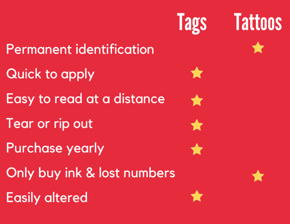 Tableau d'informations sur les tags et les tatouages