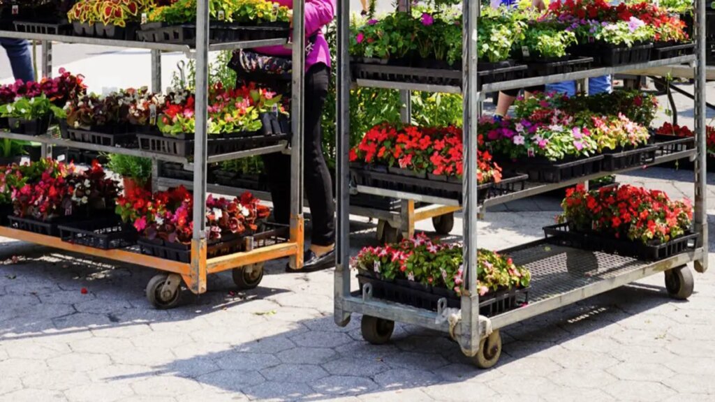 Vente de micro-pousses sur les marchés de producteurs