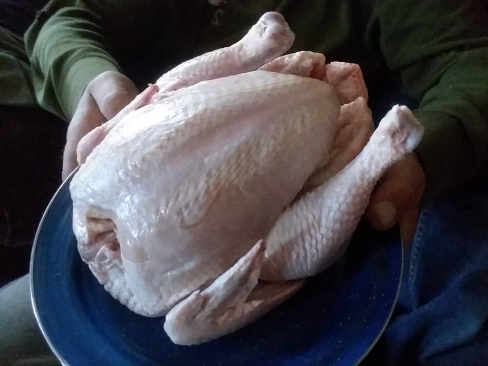 poulet de chair prêt à cuire au four, décongelé et prêt à cuire